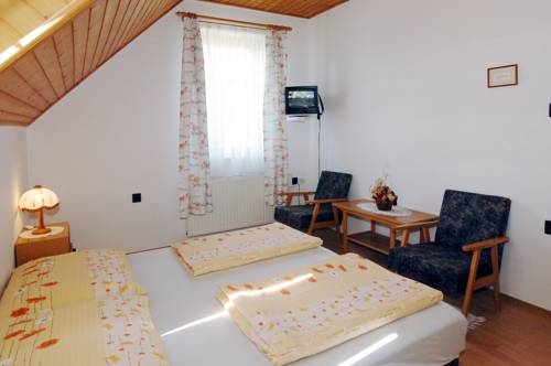 Imagen general del Hotel Zsuzsa Panzi&oacute;. Foto 14