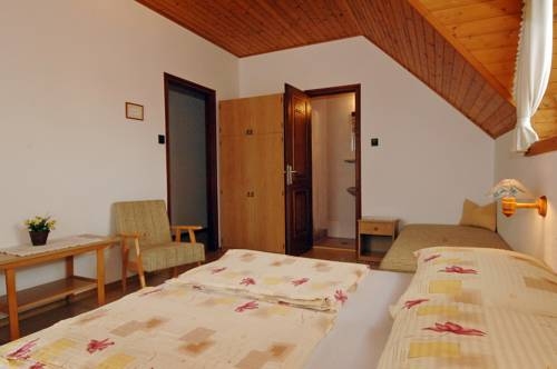 Imagen general del Hotel Zsuzsa Panzi&oacute;. Foto 16