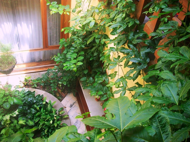 Imagen de los exteriores del Hotel Zuetana 106. Foto 11
