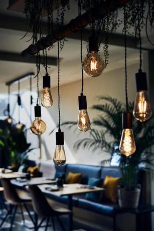 Imagen general del Hotel Zuid. Foto 2