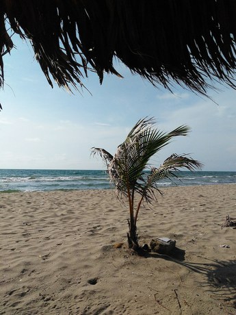 Imagen general del Hotel Zulan. Foto 3