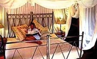 Imagen de la habitación del Hotel Zululand Tree Lodge. Foto 2