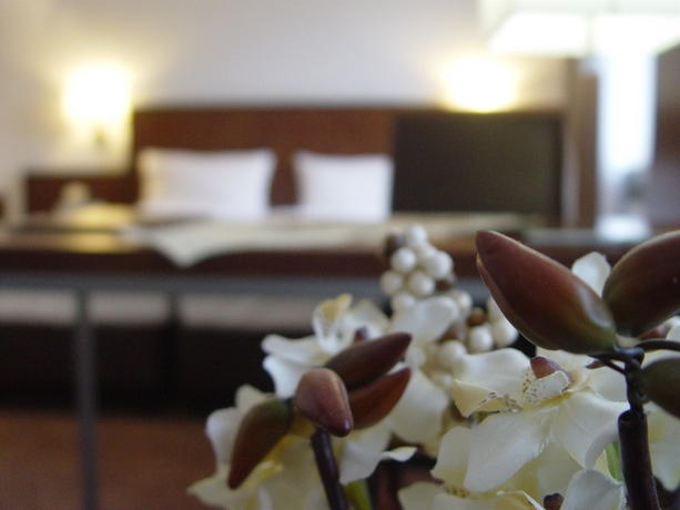 Imagen de la habitación del Hotel Zum Adler. Foto 8