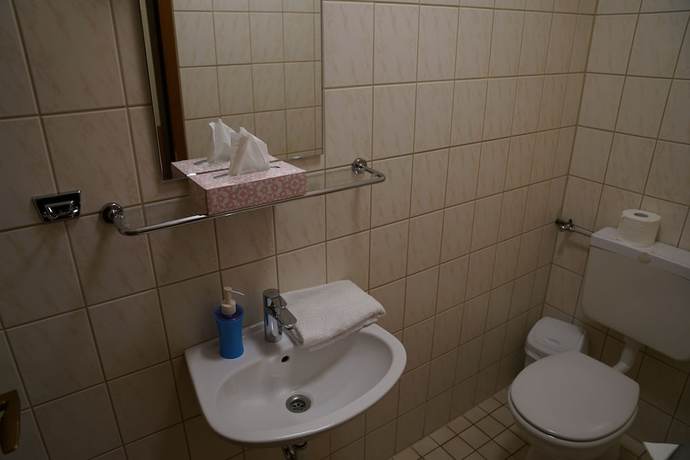 Imagen de la habitación del Hotel Zum Grafen Hallermunt. Foto 8