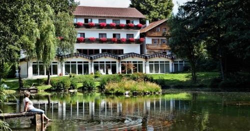 Imagen general del Hotel Zum Hirschen In Lam. Foto 4