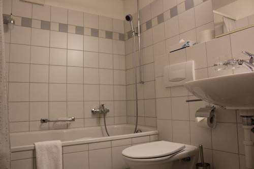 Imagen de la habitación del Hotel Zum Hirschen, Schindellegi. Foto 11