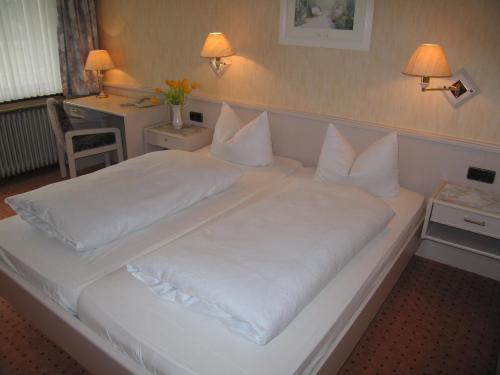 Imagen de la habitación del Hotel Zum Rosenteich. Foto 8