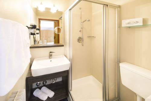 Imagen de la habitación del Hotel Zum Tiroler Adler. Foto 8