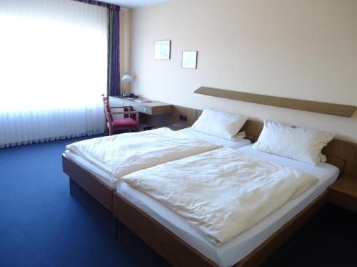 Imagen general del Hotel Zum Wei&szlig;en Ro&szlig;. Foto 4