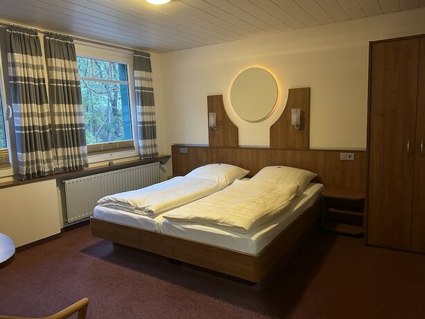 Imagen de la habitación del Hotel Zum gr&uuml;nen Walde. Foto 17