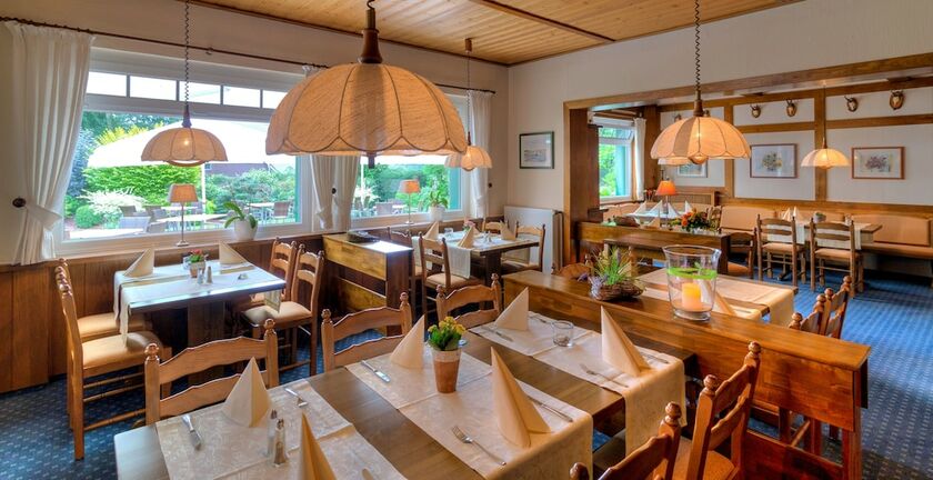 Imagen general del Hotel Zum gr&uuml;nen Walde. Foto 10