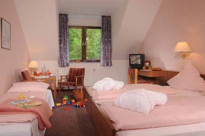 Imagen de la habitación del Hotel Zur Burg Sternberg. Foto 4