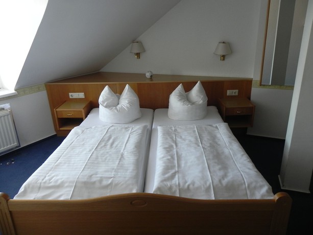 Imagen de la habitación del Hotel Zur Eldenburg. Foto 7