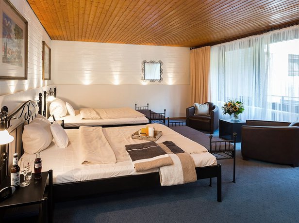 Imagen de la habitación del Hotel Zur Heidschnucke. Foto 8
