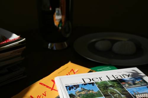 Imagen de la habitación del Hotel Zur Luppbode. Foto 16