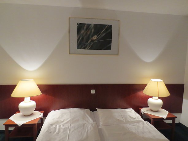 Imagen de la habitación del Hotel Zur Post, Illmitz. Foto 6
