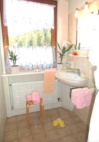 Imagen de la habitación del Hotel Zur Schmiede, Clausthal-Zellerfeld. Foto 8