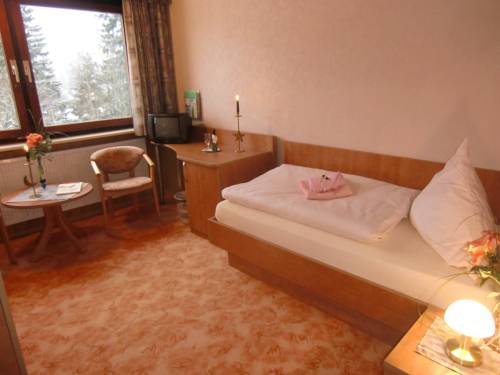 Imagen de la habitación del Hotel Zur Schmiede, Clausthal-Zellerfeld. Foto 10