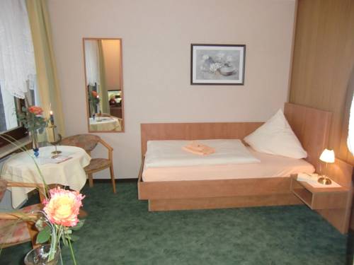 Imagen de la habitación del Hotel Zur Schmiede. Foto 4