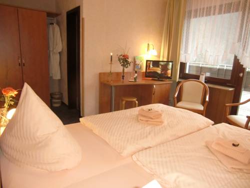 Imagen de la habitación del Hotel Zur Schmiede. Foto 11