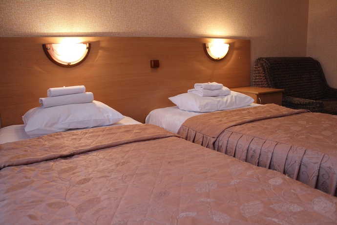 Imagen de la habitación del Hotel Zvezdny. Foto 3