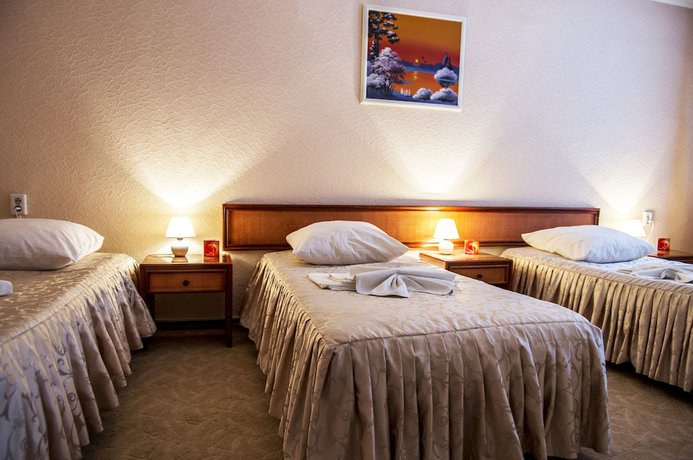 Imagen de la habitación del Hotel Zvezdny Park-hotel. Foto 6