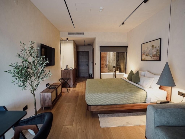 Imagen de la habitación del Hotel Zyra boutique hotel. Foto 9