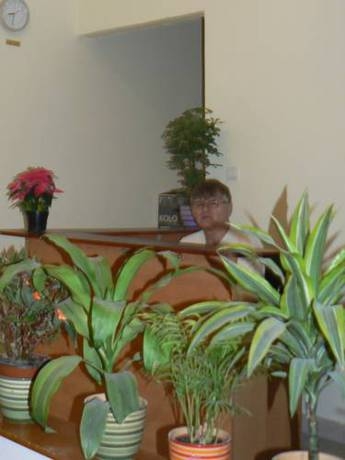 Imagen general del Hotel &aacute;rbi Apartman Hotel. Foto 5