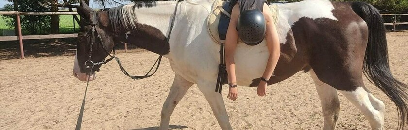 Imagen general del Hotel agroturystyka Kurnik Polski. Foto 16