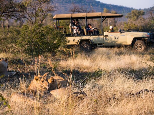 Imagen general del Hotel aha Thakadu River Camp. Foto 10