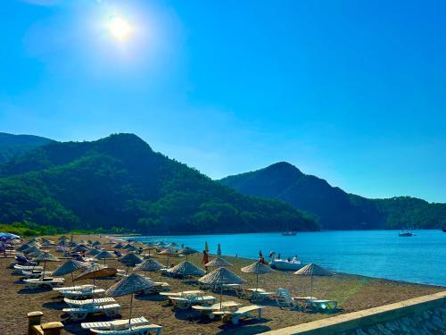 Imagen general del Hotel Şahin Tepesi / Falcon Crest. Foto 5