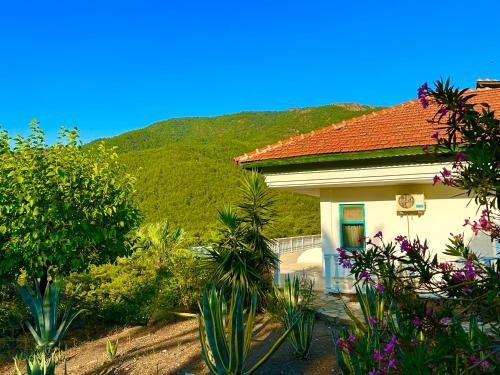 Imagen general del Hotel Şahin Tepesi / Falcon Crest. Foto 6