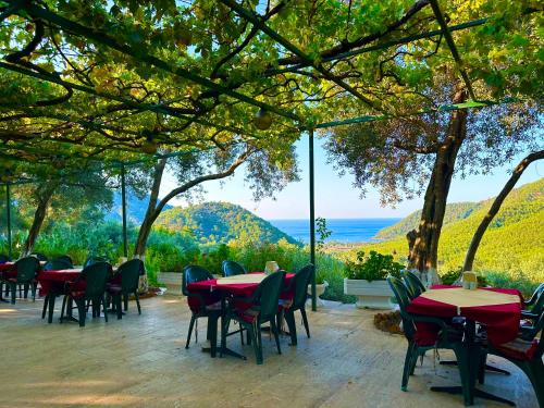 Imagen general del Hotel Şahin Tepesi / Falcon Crest. Foto 8