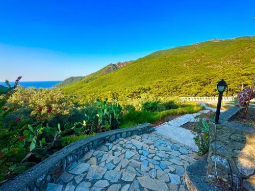 Imagen general del Hotel Şahin Tepesi / Falcon Crest. Foto 10