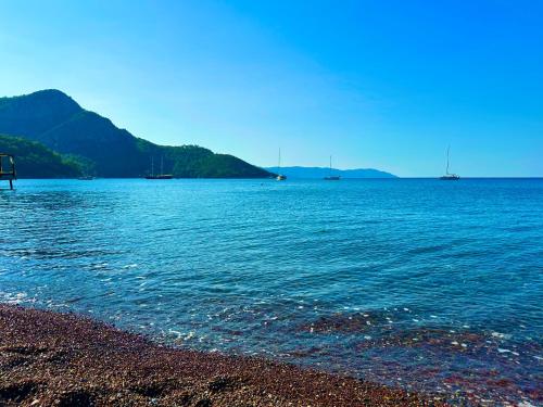 Imagen general del Hotel Şahin Tepesi / Falcon Crest. Foto 13