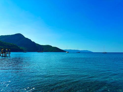 Imagen general del Hotel Şahin Tepesi / Falcon Crest. Foto 14