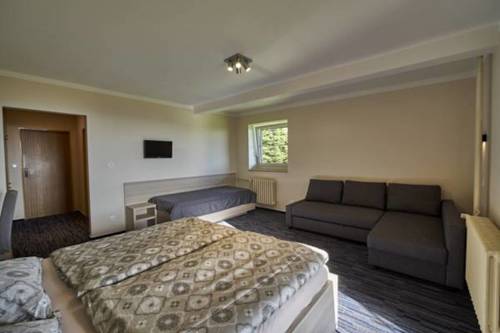 Imagen de la habitación del Hotel Žal&yacute;. Foto 6