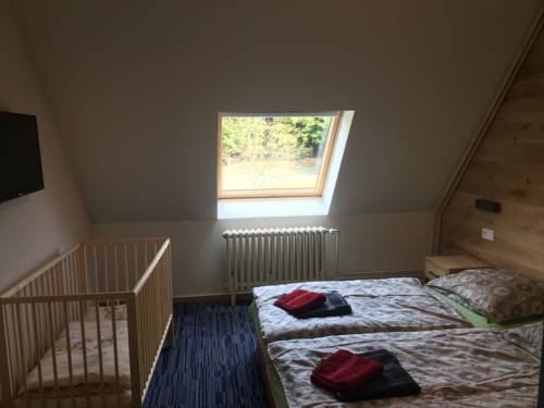 Imagen de la habitación del Hotel Žal&yacute;. Foto 10