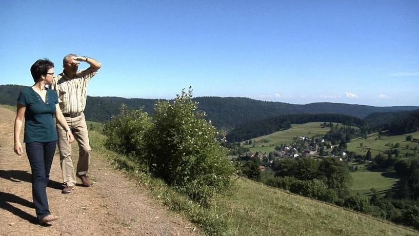 Imagen de los exteriores del Hotel am Kurpark, Todtmoos. Foto 11