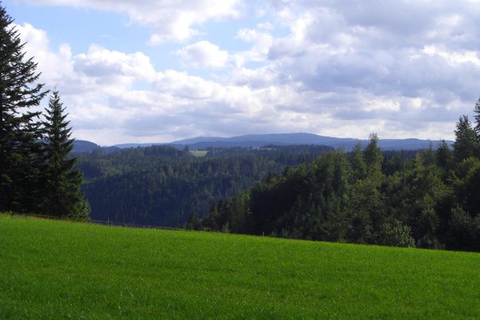 Imagen de los exteriores del Hotel am Kurpark, Todtmoos. Foto 12