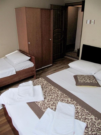 Imagen general del Hotel Şamil. Foto 2