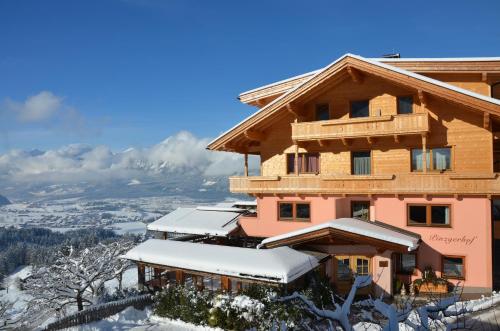 Imagen general del Hotel & Alpengasthof Pinzgerhof. Foto 1