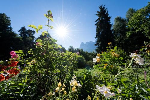 Imagen general del Hotel & Appartements Perwanger. Foto 16