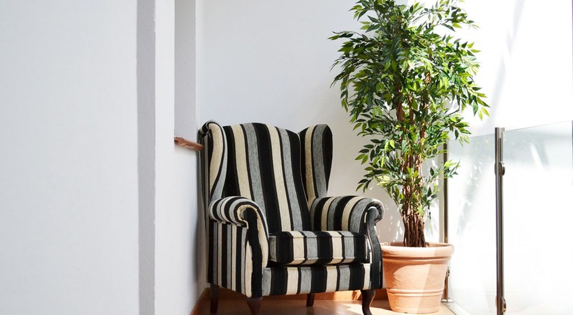 Imagen de los interiores del Hotel & Spa PLAZA. Foto 13