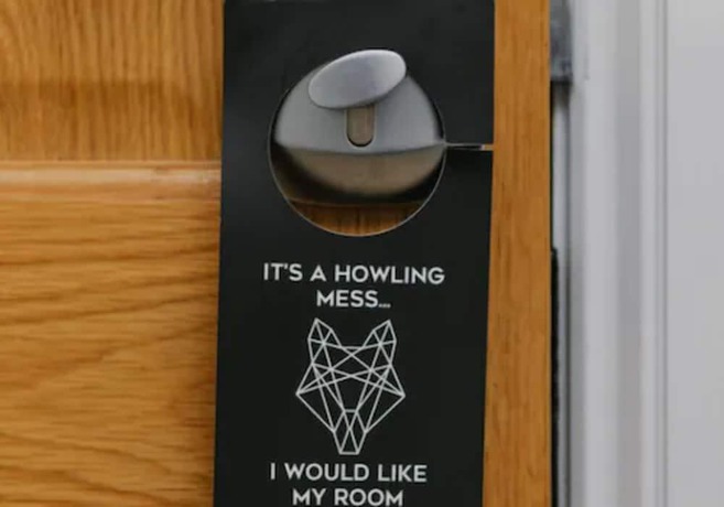 Imagen de la habitación del Hotel and Bar Siberia. Foto 8