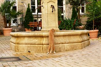Imagen general del Hotel and Boardinghouse Garden Living. Foto 14