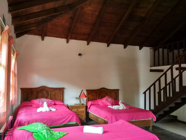 Imagen de la habitación del Hotel and Caba&ntilde;as amara Caf&eacute;. Foto 6