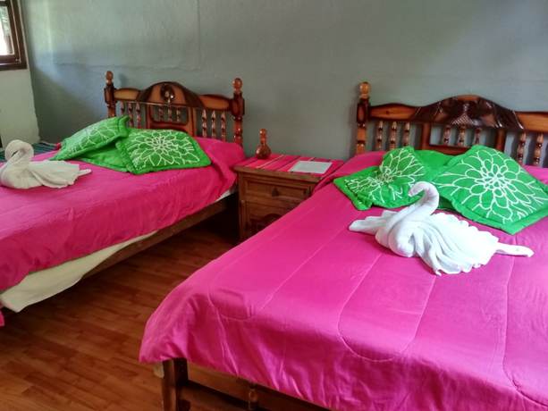 Imagen de la habitación del Hotel and Caba&ntilde;as amara Caf&eacute;. Foto 9