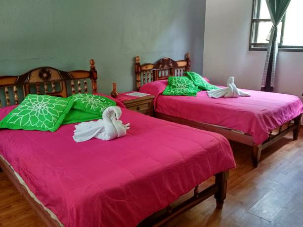 Imagen de la habitación del Hotel and Caba&ntilde;as amara Caf&eacute;. Foto 11