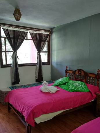 Imagen de la habitación del Hotel and Caba&ntilde;as amara Caf&eacute;. Foto 16